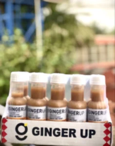 Ginger Up & Ginger Shot Ginger Up (Pack of 10)