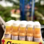 Ginger Shot (Pack of 20)