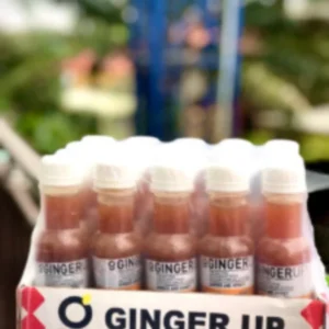 Ginger Up & Ginger Shot ginger up (pack of 20)